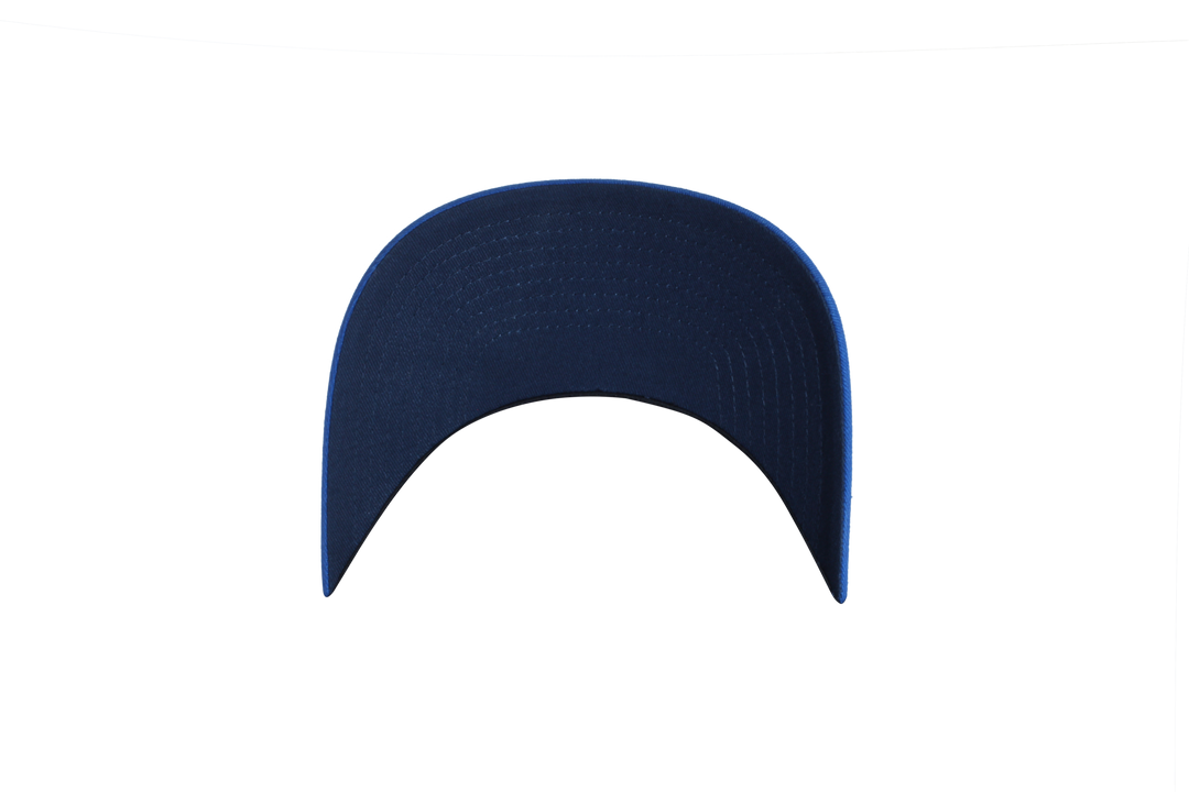 DALLAS MAVERICKS HORSE HEAD 2-TONE SNAPBACK CAP