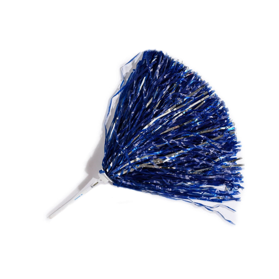 DALLAS MAVERICKS WINCRAFT MFFL POM